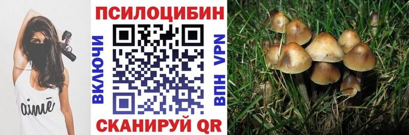 Псилоцибиновые грибы GOLDEN TEACHER  купить   Лянтор 