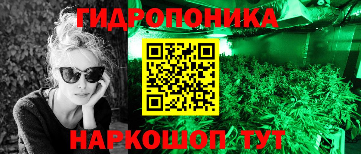 Бошки марихуана сатива  Бошки марихуана план  Марихуана Ganja  Лянтор 